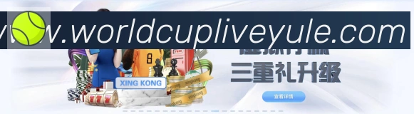 登录器